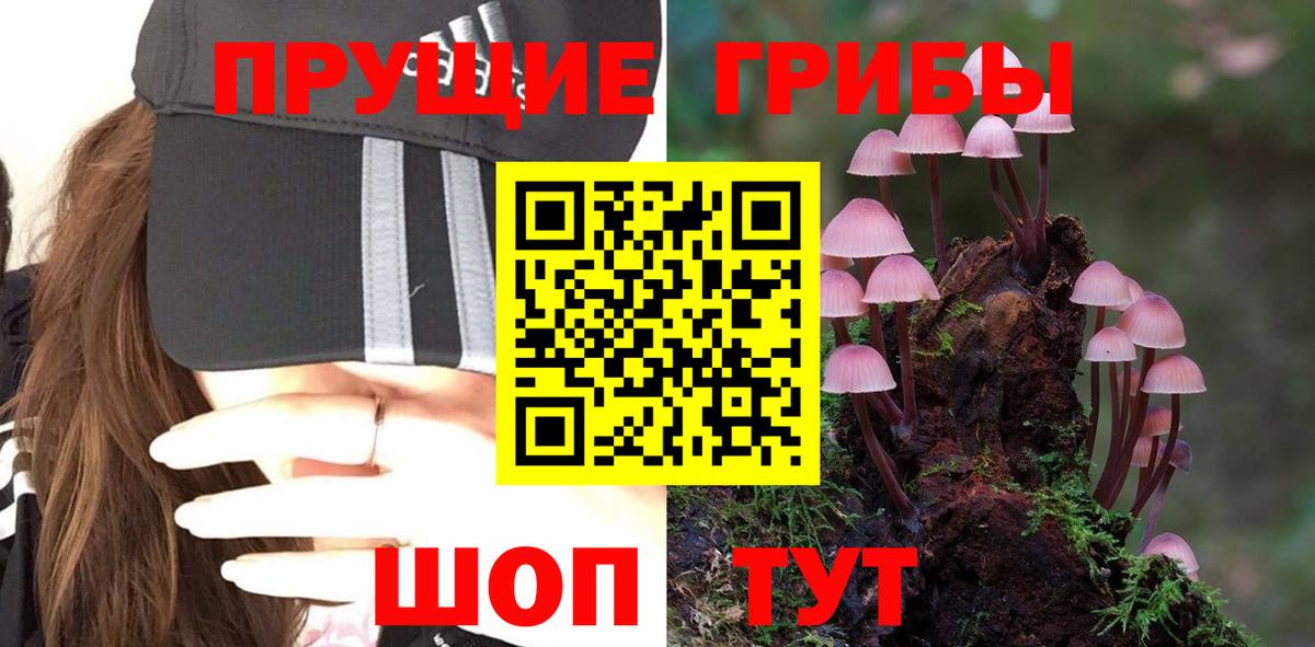 закладки  Галлюциногенные грибы прущие грибы  Вход с VPN  Богданович  Псилоцибиновые грибы MAGIC MUSHROOMS 